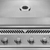 Napoleon 500-Series BI32 Built-In Gas Grill Head -Barbecue Supplies Store napoleon 500 series bi32 built in gas grill head natural gas 42371542515989